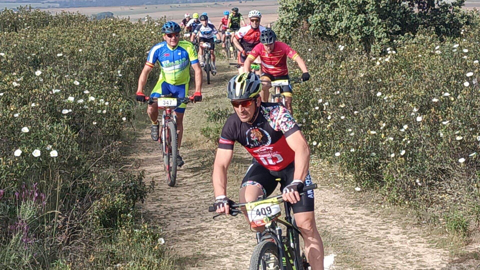 GALERÍA | La Ruta BTT Arroz a la Zamorana, la fiesta de la bici en Carbajales de Alba