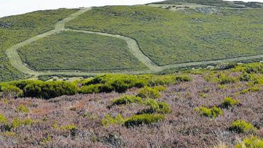 Desbroces realizados por Medio Ambiente en la sierra. | Junta