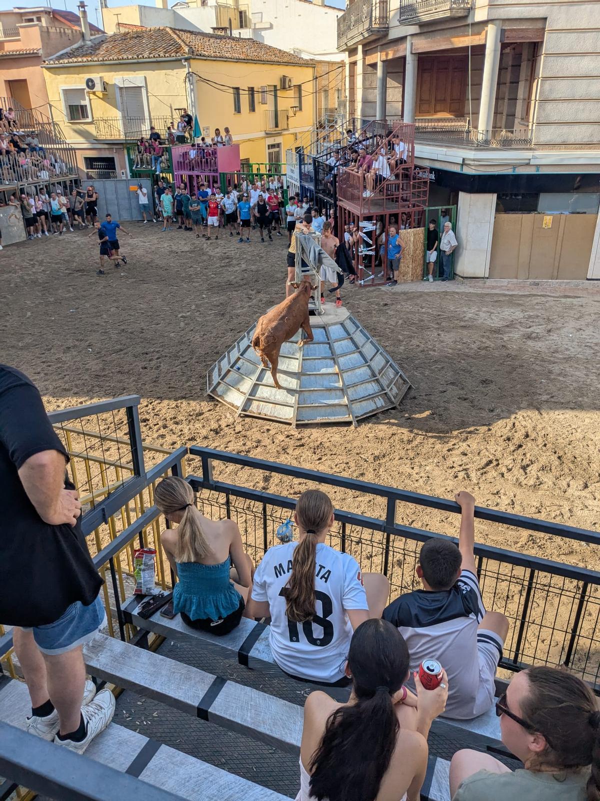 Un momento de la tarde de toros