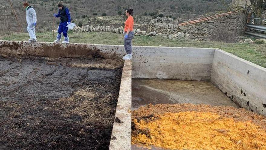 El interior de Castellón estudia el aprovechamiento de alperujos de oliva para alimentar el ganado
