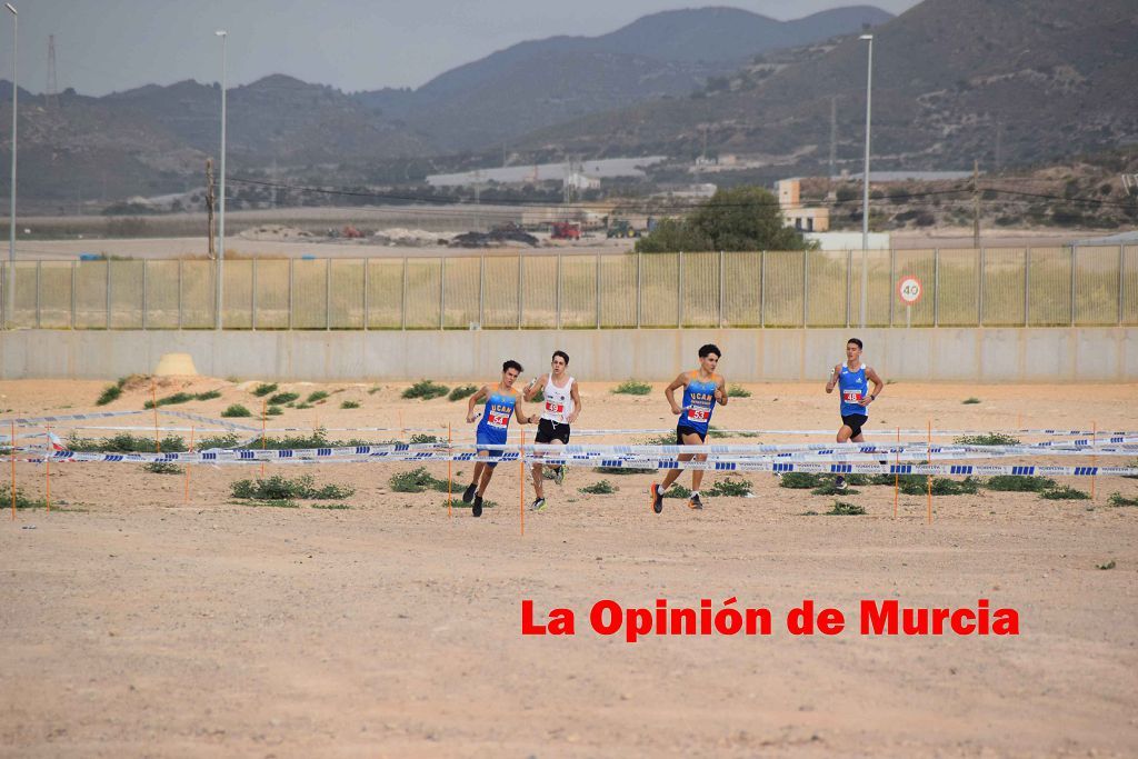 Campeonato Regional de relevos mixtos de atletismo