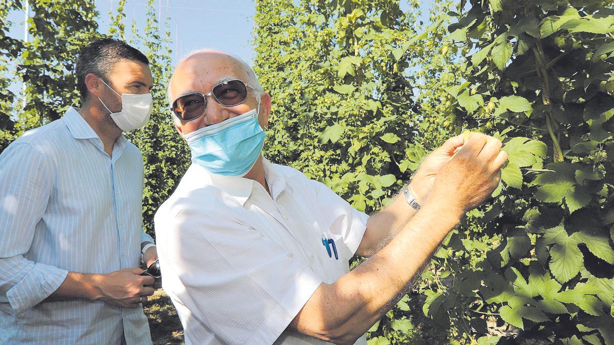 Pedro Marín, de Estrella de Levante, ayer en la plantación junto al alcalde de Cravaca  de la Cruz.