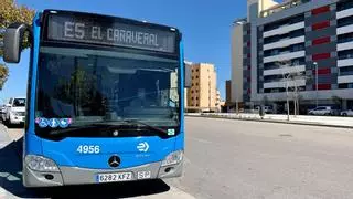 Ni se tarda "15 minutos" ni hay alternativas: El Cañaveral reclama más autobuses que conecten con Madrid