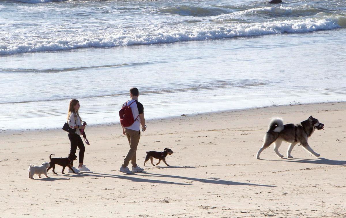 Una parella passeja els seus gossos a la platja. | SALVADOR SAS
