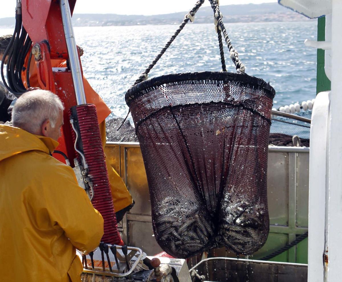 Pesca de sardina
en la ría de Arousa.
| Noé Parga