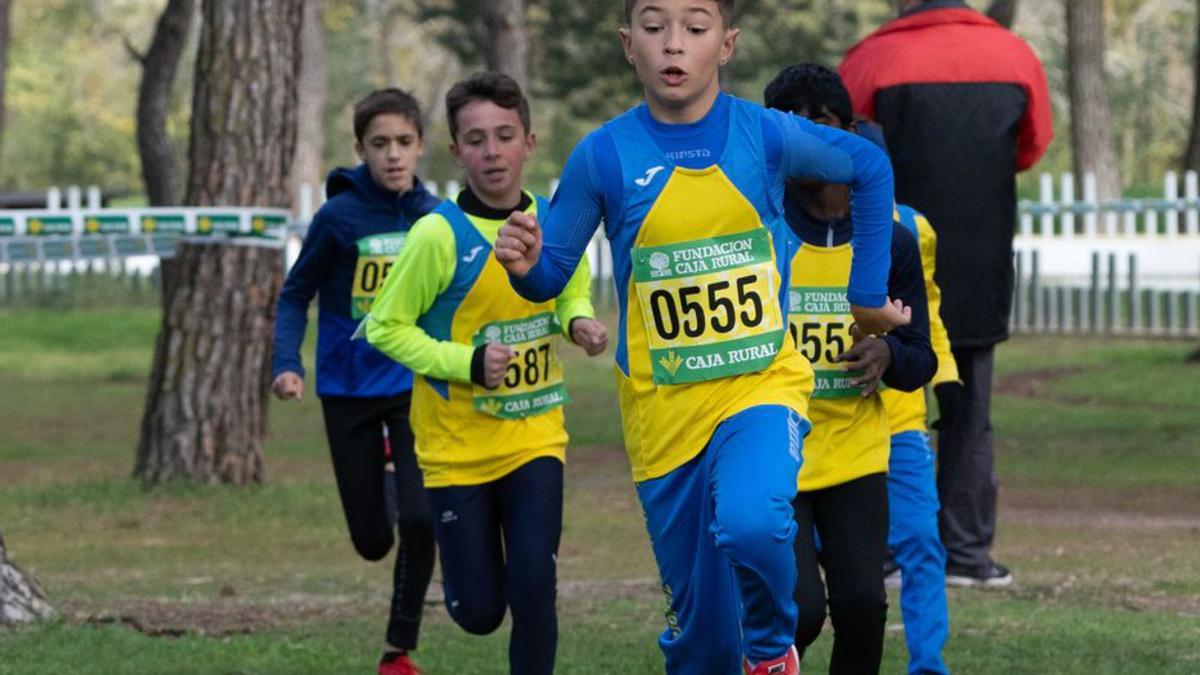 Los canteranos de Atletismo Zamora. / JLF