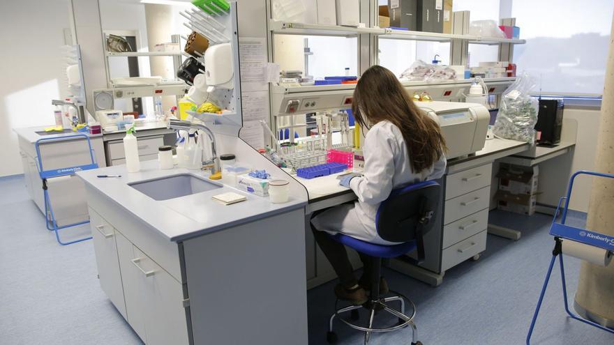 Una investigadora realiza análisis clínicos en el laboratorio del Incliva, junto al Hospital Clínico de València.  | FERNANDO BUSTAMANTE