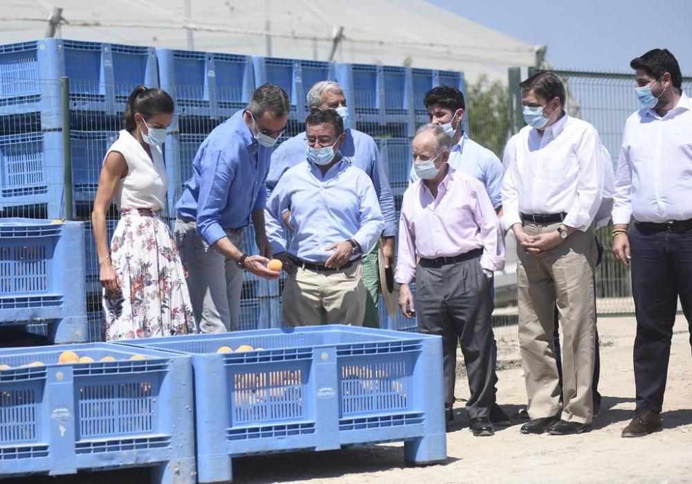 Visita de los reyes a la cooperativa La Carrichosa de Cieza