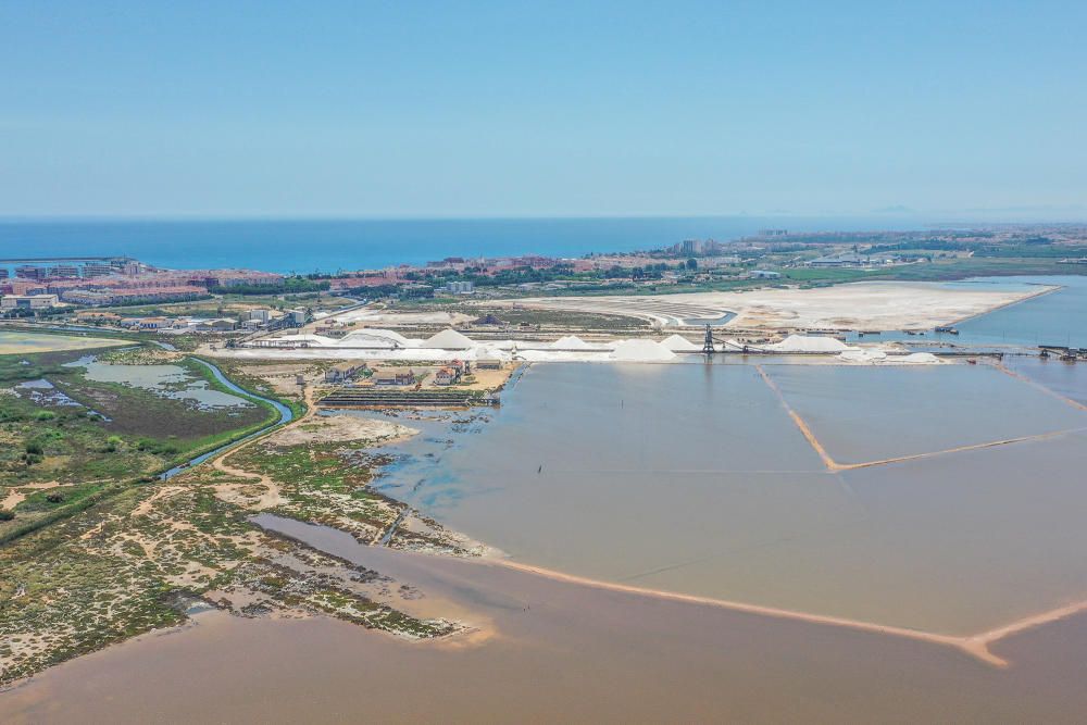 Imagen de las salinas en primer término en la que se observa un tono marrón por la pérdida de salinidad y que el agua desborda las orillas y inunda algunas de las instalaciones industriales de la salinera. Al fondo el casco urbano de Torrevieja y el mar.