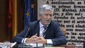 El ministro del Interior, Fernando Grande Marlaska, este martes en el Senado