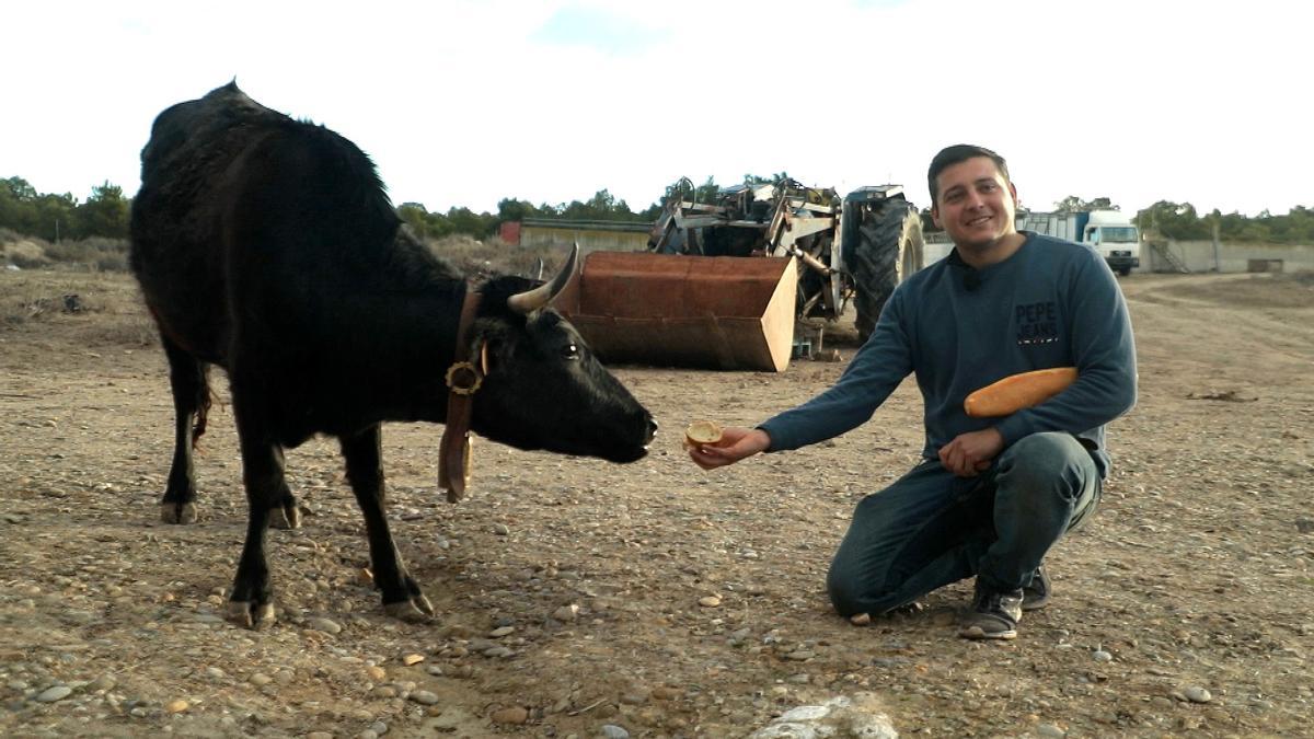 ‘El campo es nuestro’, de Aragón TV, gana el Premio Iris al Mejor Programa Autonómico