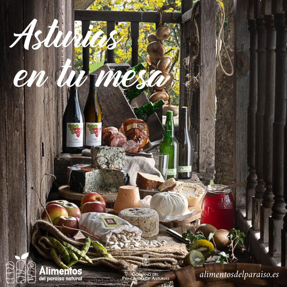 La campaña de Alimentos del Paraíso para Navidad