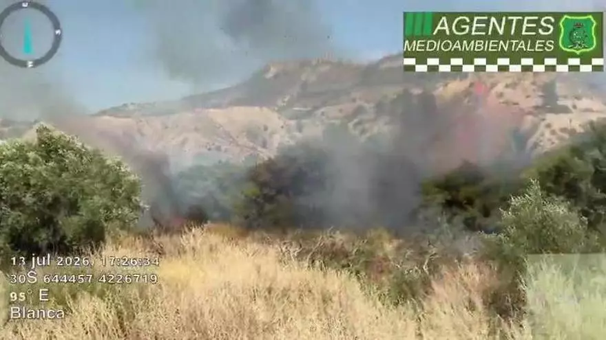 Un incendio avanza por los matorrales de Blanca