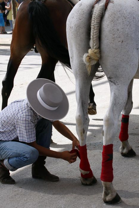 Feria de Málaga 2016 en el Real