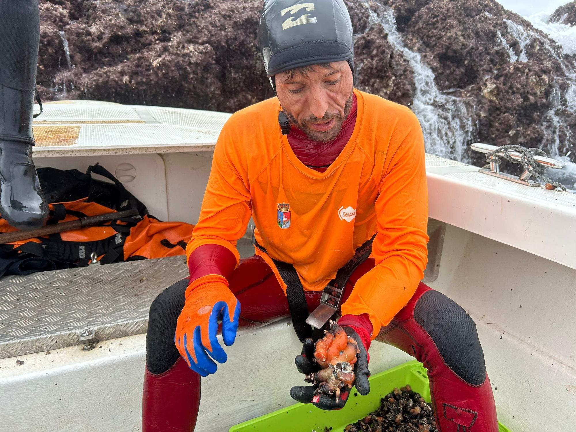 EN IMÁGENES: Así luchan los mariscadores de Luanco por cada kilo de percebe en el cabo Peñas
