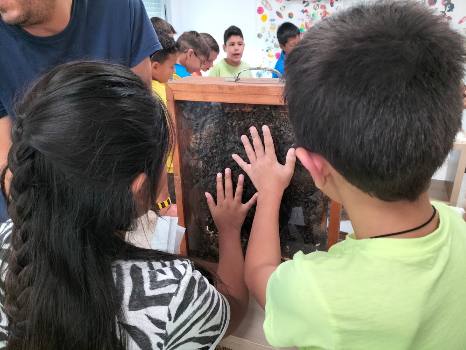 La apicultura y las abejas llegan al colegio Port de Xàbia