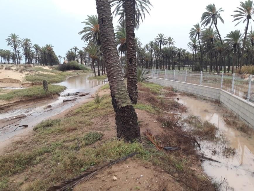 Salvemos Lo Ferrís asegura que le muro en la propiedad privada multiplicó los efectos de las precipitaciones al acumular el agua