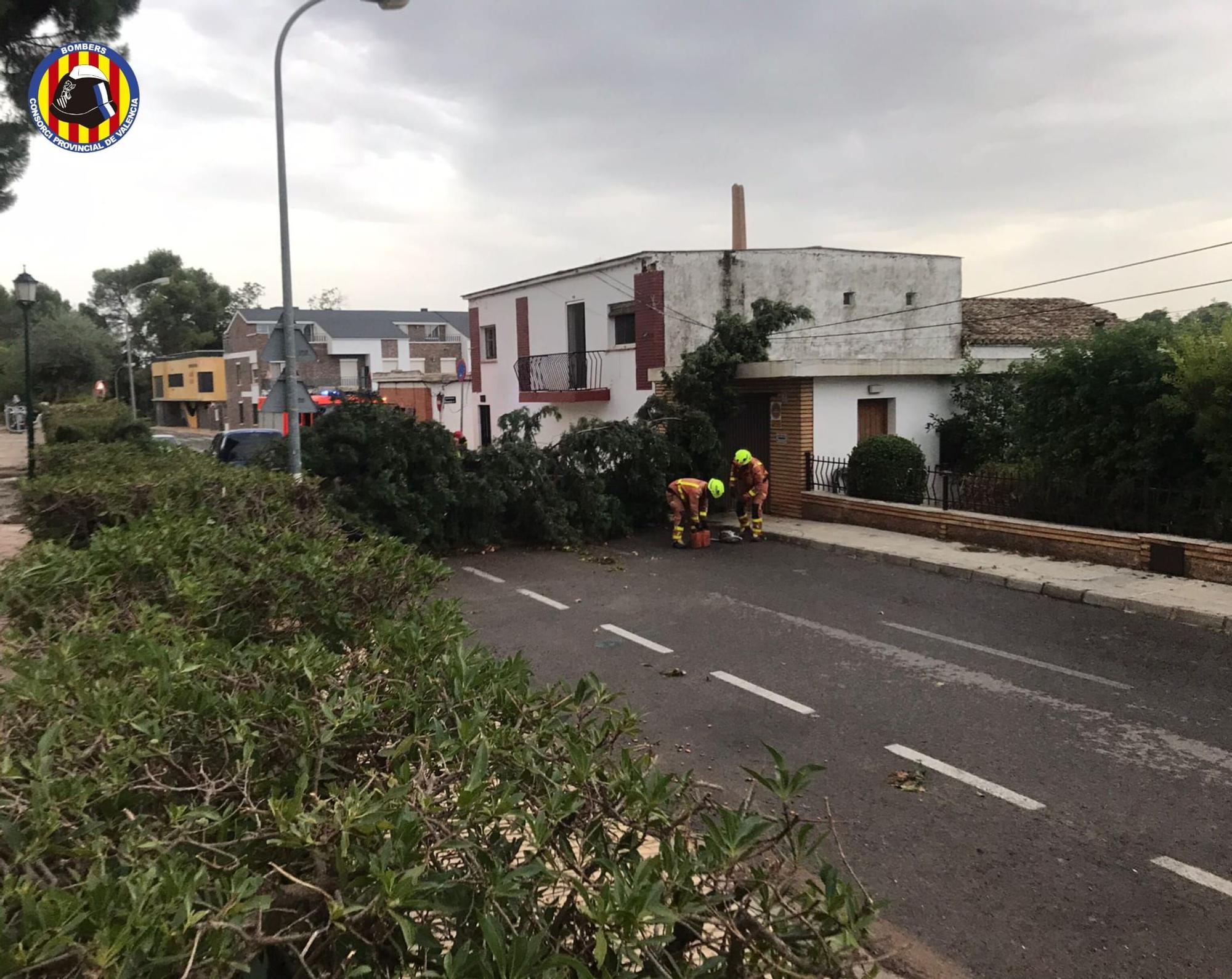 El granizo y las trombas de agua tumbas árboles y destrozan placas solares