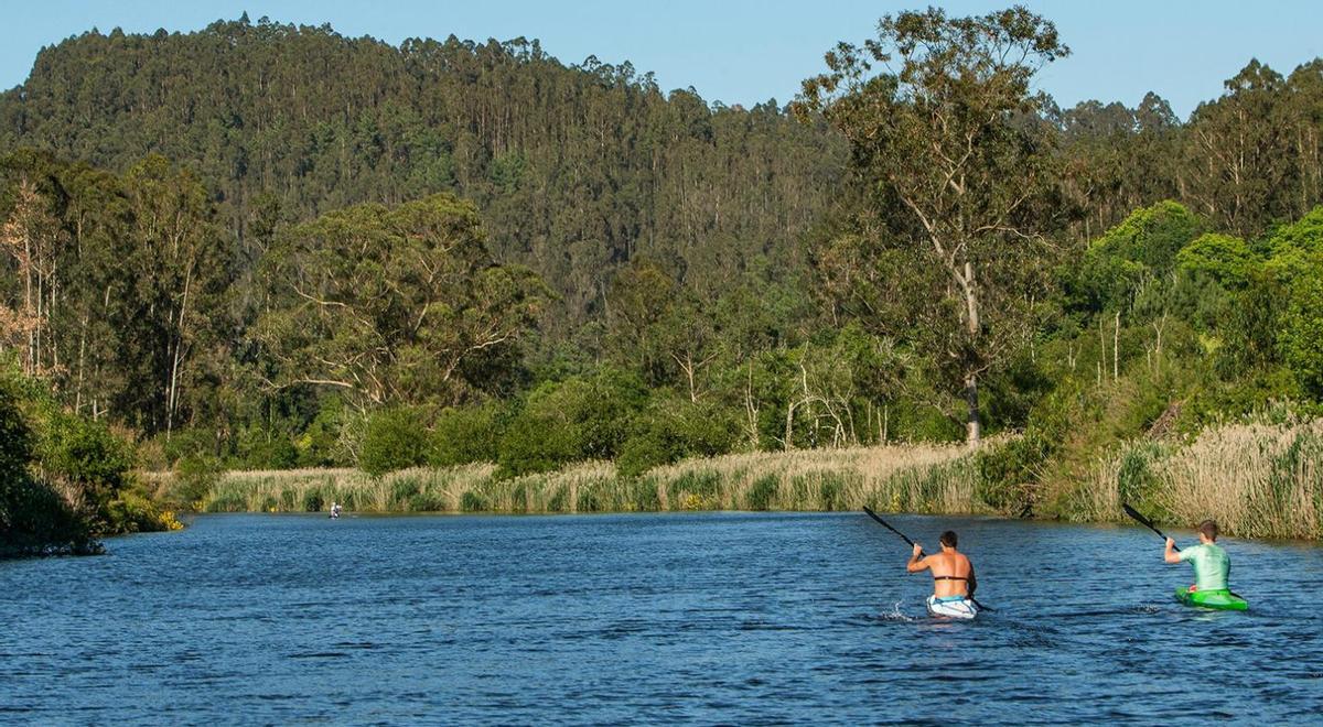 Dos piragüistas en la ría de Betanzos.