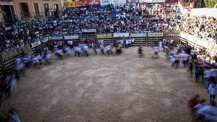 Les imatges del Corre de bou de Cardona