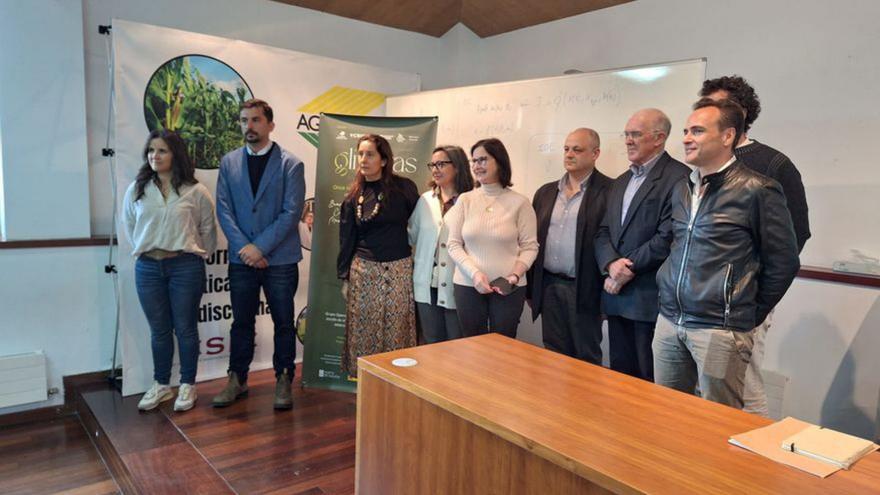 La Misión Biológica impulsa el desarrollo del sector del olivo autóctono gallego