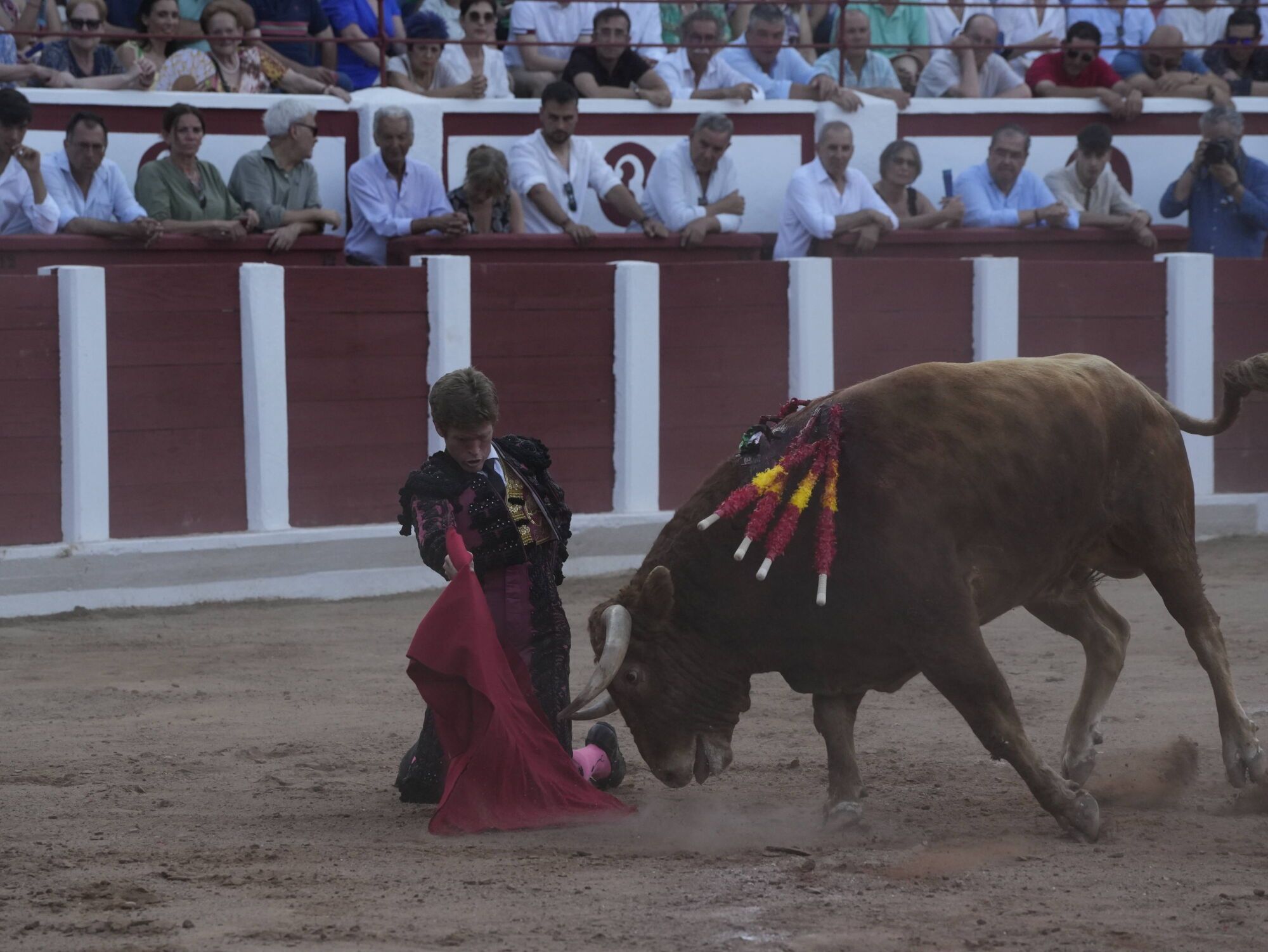 Las mejores imágenes de la feria taurina de San Pedro en Zamora.