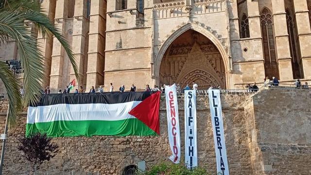 Protesta por Palestina, en la que se pueden leer carteles con las palabras ‘genocidi’, ‘Saif i Thiago’ y ‘llibertat’. | DM