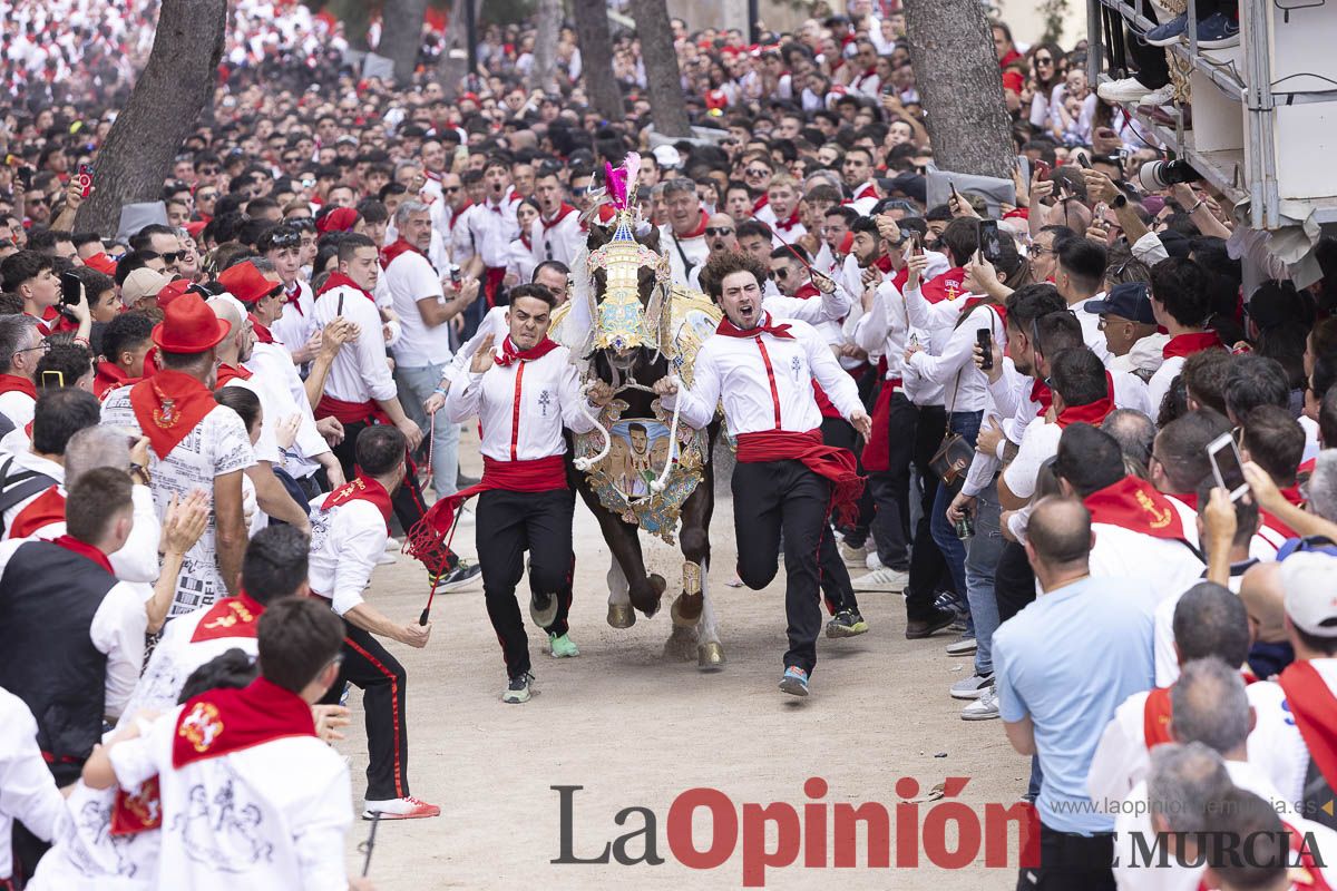 Así se ha vivido la carrera de Los Caballos del Vino en Caravaca
