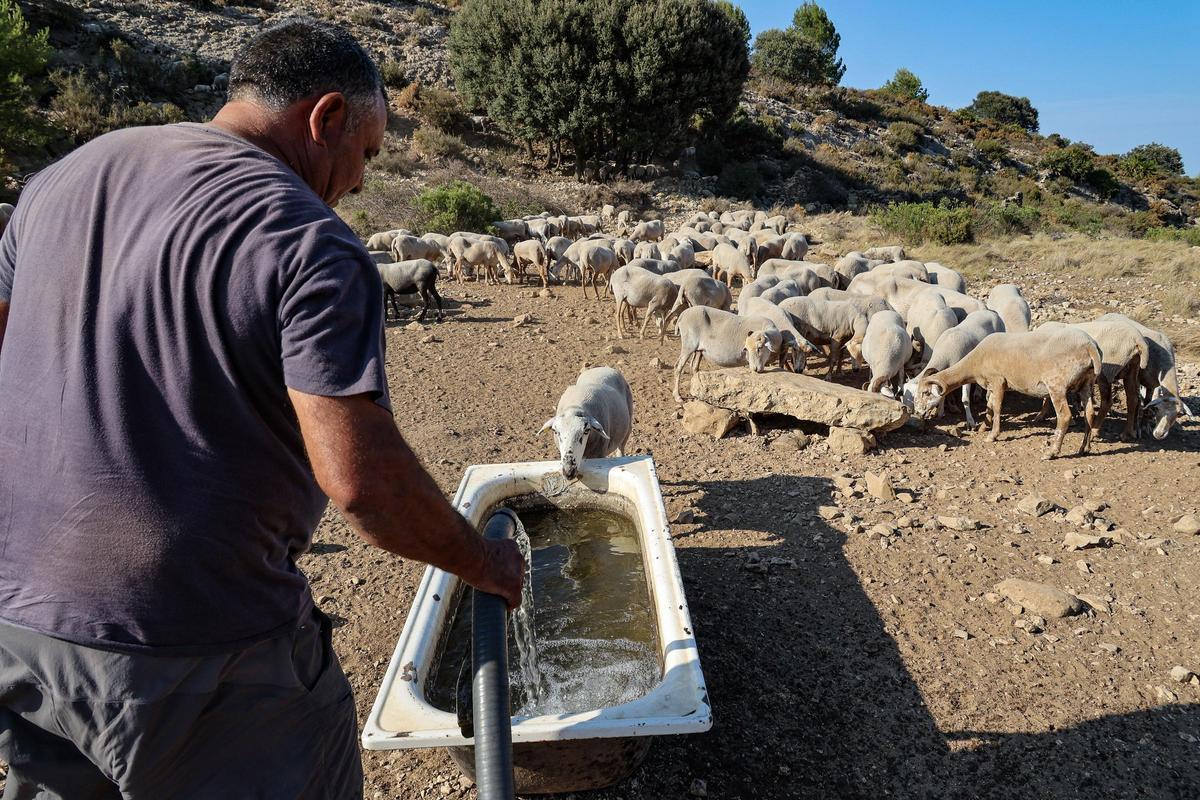 La ganadería también podría verse muy afectada.
