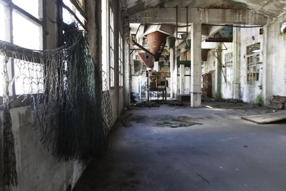 La antigua fábrica está plagada de escombros, maleza y grafitis - El plan municipal pretende rescatarla con nuevos usos públicos y privados