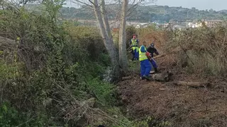 El Ayuntamiento de Navalmoral de la Mata realiza la limpieza de siete arroyos y doce caminos