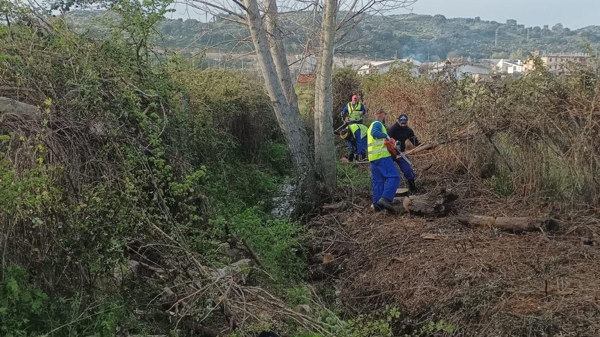 Operarios municipales trabajan en las labores de limpieza de un arroyo en Navalmoral.