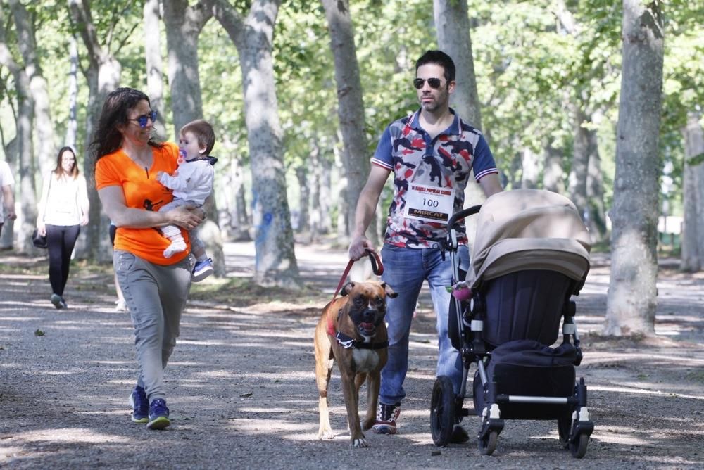 I Marxa Solidària Canina de Diari de Girona