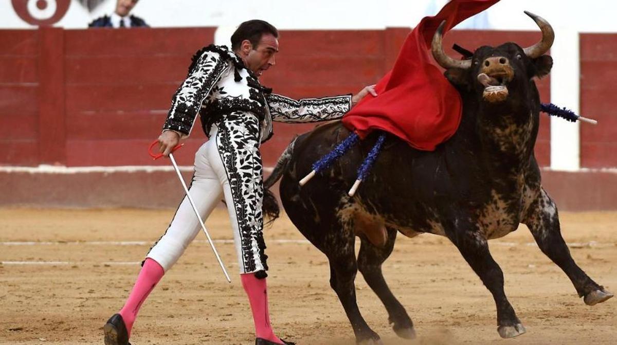 ERC aprofita la tramitació d’una llei per exigir que els toros deixin de ser patrimoni cultural