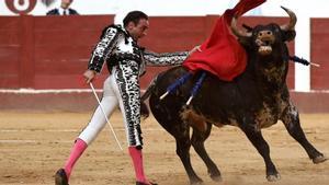 ERC aprofita la tramitació d’una llei per exigir que els toros deixin de ser patrimoni cultural
