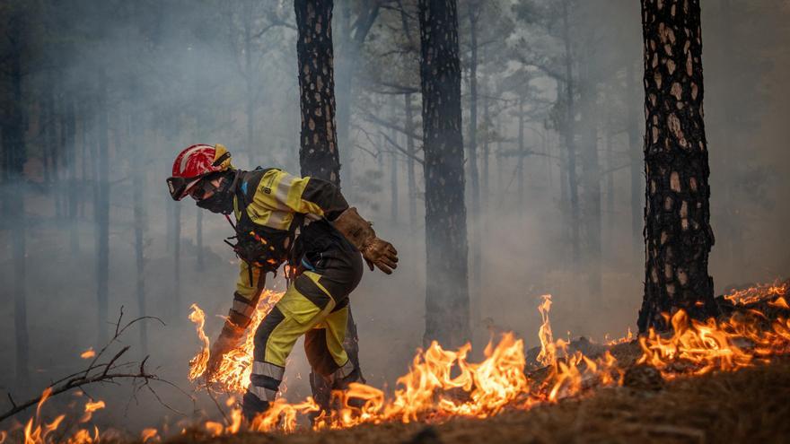 Un día con los bomberos forestales de Canarias: una labor que trasciende a la extinción de incendios
