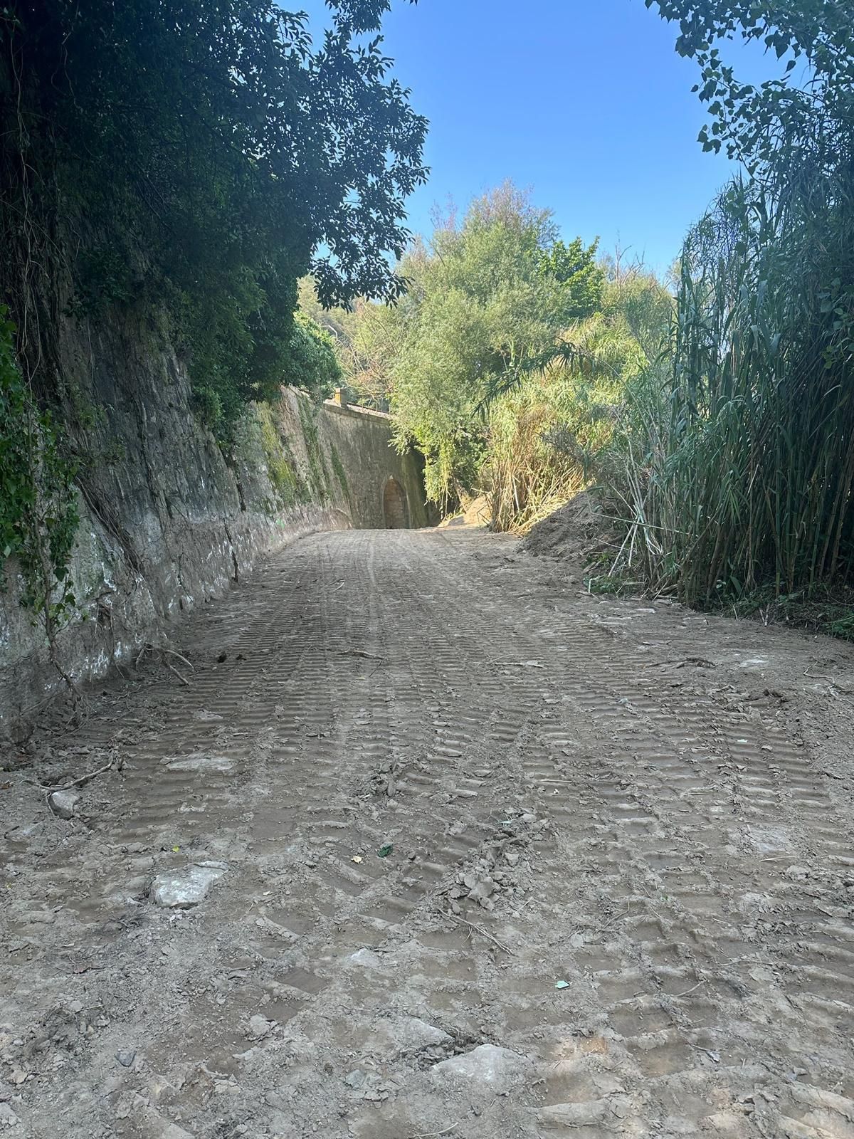 Inici dels treballs al tram terrestre del carril bici entre Celrà i Girona