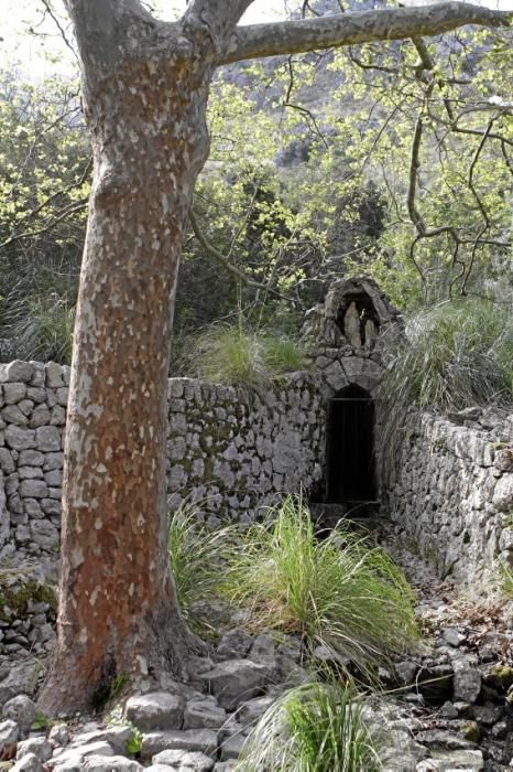 Einer der schönsten Winkel der Insel - das Tal und der Garten von Ariant - kann wieder bei geführten Rundgängen erkundet werden.