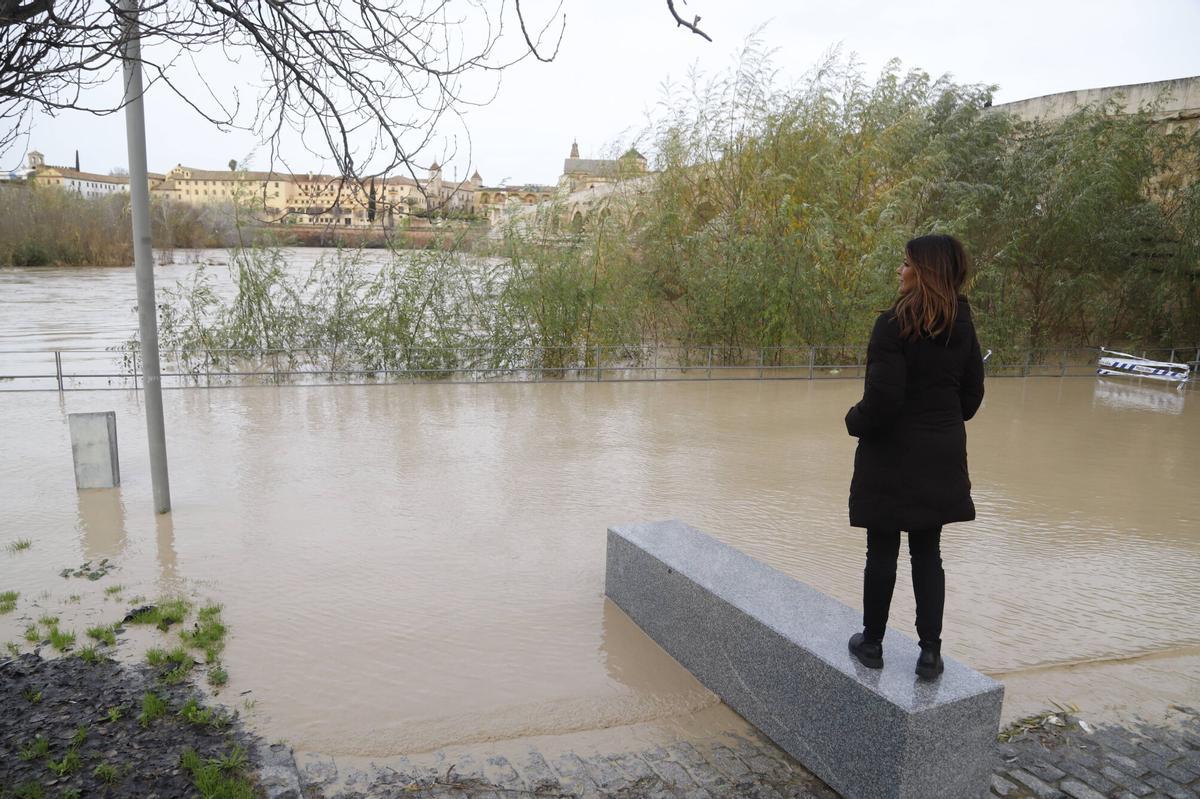 Crecida del río Guadalquivir a su paso por el Puente Romano