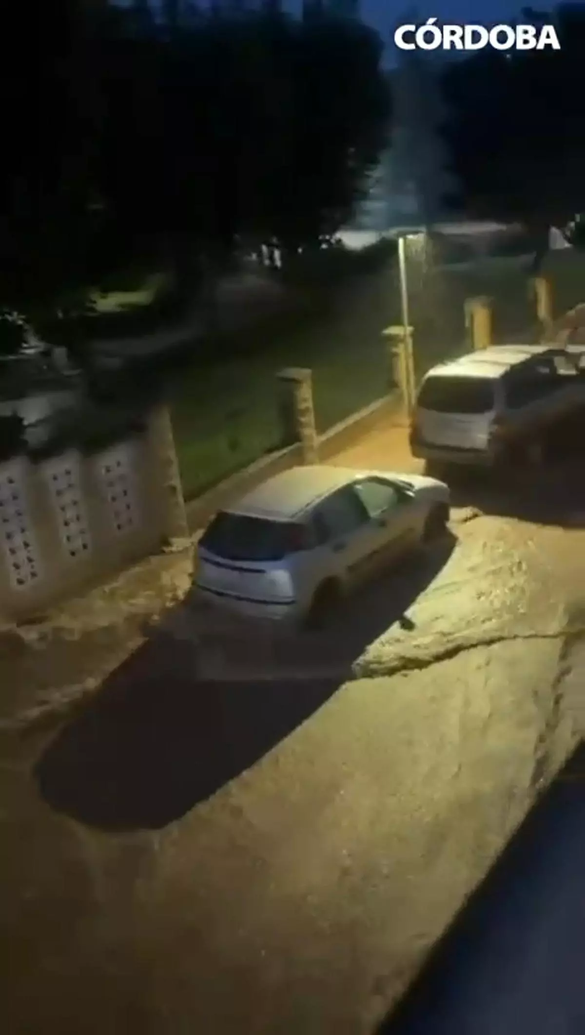 Efectos de la borrasca Claudia en Almodóvar del Río