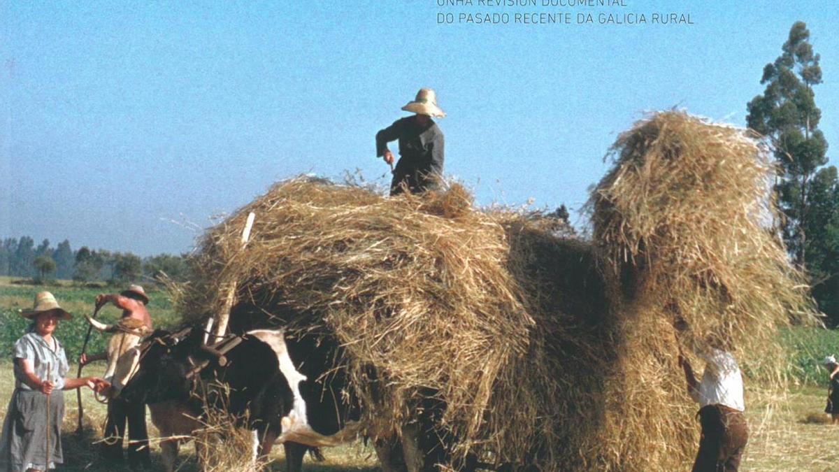 Portada do libro &quot;Anacos do rural&quot;