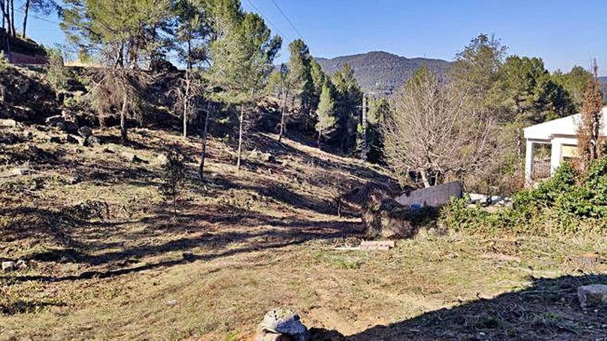 Treballs per habilitar la franja de protecció forestal a Castellbell