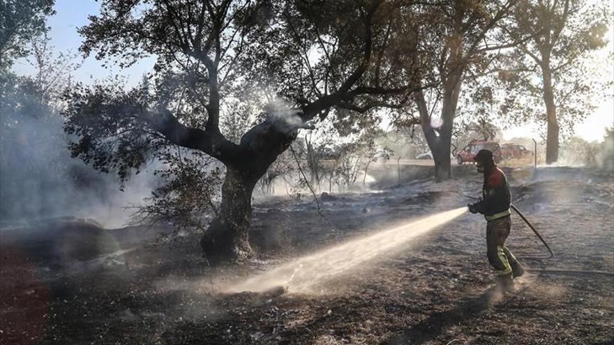 Los bomberos sofocan un incendio de pastos en Badajoz