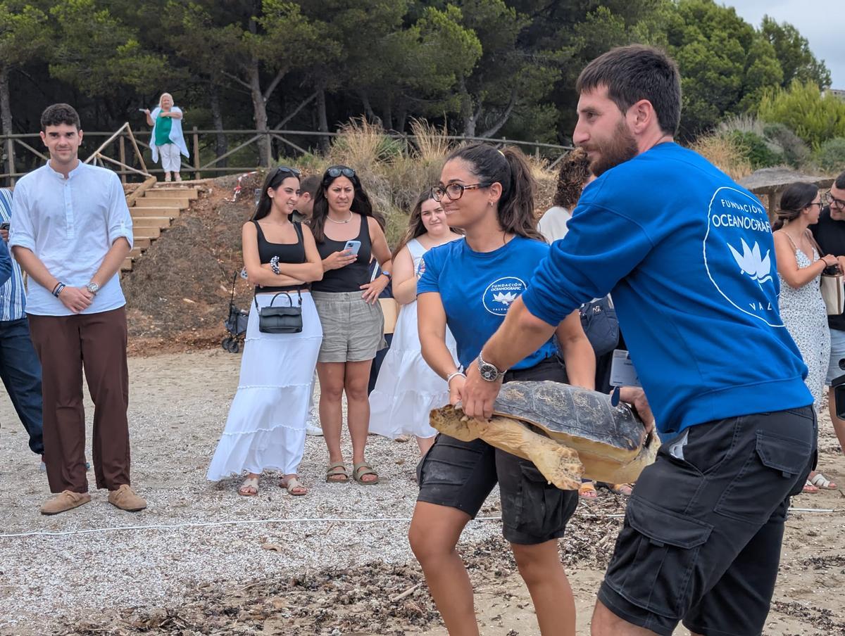 GALERÍA I La presentación de la nueva campaña para rescatar tortugas marinas, en imágenes