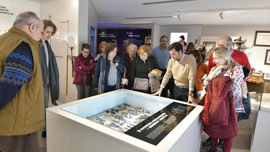 El Museo de Veterinaria abre con un guía municipal