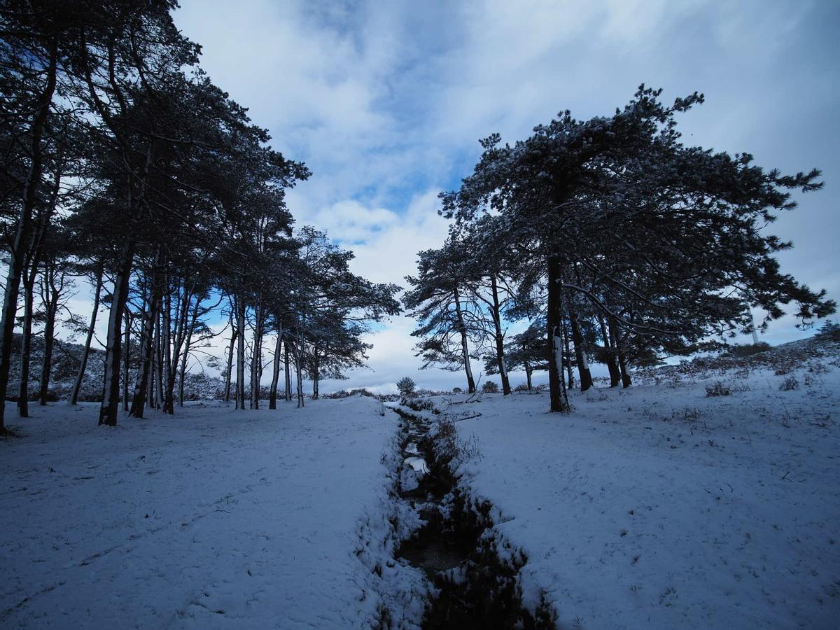 El manto de nieve en el monte do Seixo, el pico más alto de la sierra de O Cando
