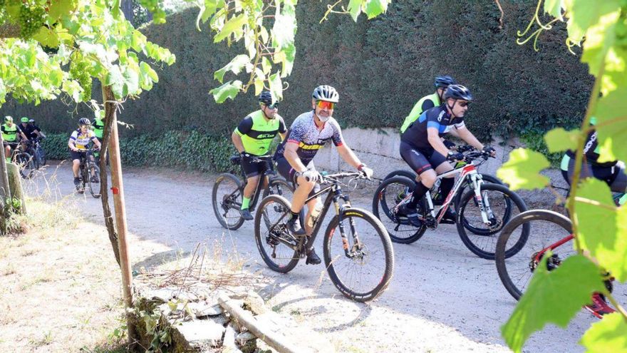 Los ciclistas pasan junto a un viñedo de Castrelo (Cambados). | Noé Parga