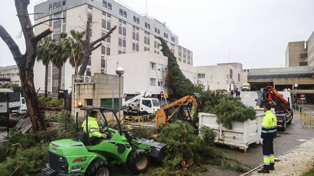 El temporal causa grandes destrozos en el Hospital Reina Sofía de Córddoba