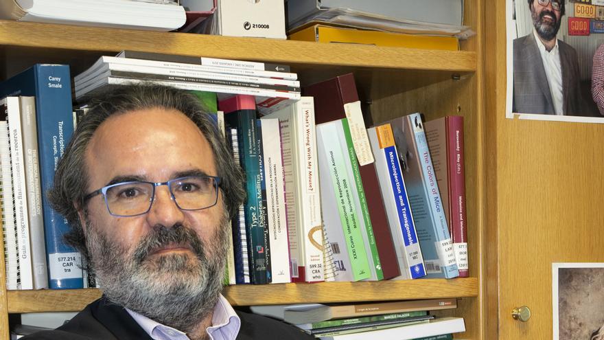 Lluis Montoliu: «Ni la genética justifica la discriminación por el color de la piel»