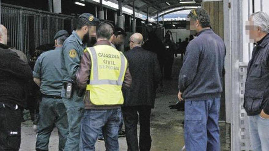 Agentes del Seprona de la Guardia Civil.